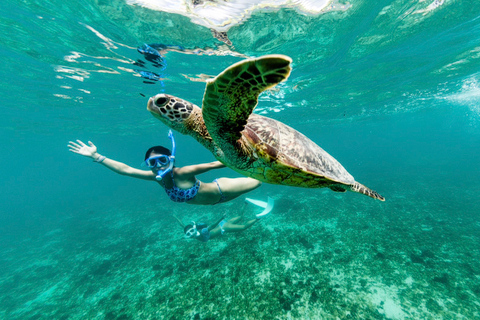 Phuket: Excursión de un día a las Similan en lancha rápidaExcursión de un día con traslado