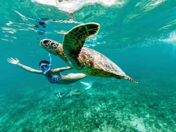 Phuket: Similan Day Trip by Speedboat