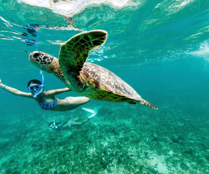 Phuket: Similan Day Trip by Speedboat
