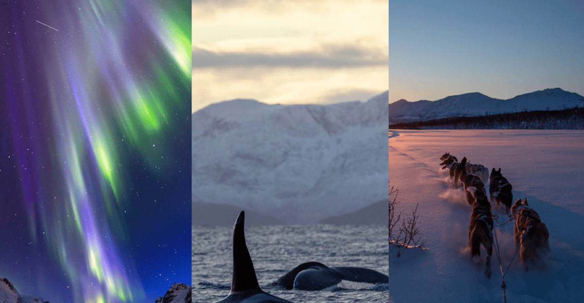 photo-collage