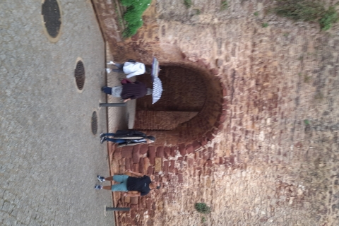 Desde Albufeira: Excursión privada al Castillo de Silves y Monchique