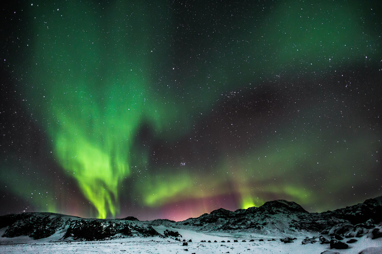 De Reykjavík: chasse aux aurores boréales avec chocolat chaudDe Reykjavík: observation des aurores boréales avec chocolat chaud