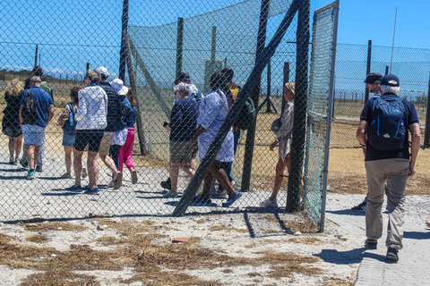 Cape Town: Robben Island Guided Tour, Skip the Ticketing LineLe Cap : visite guidée de Robben Island, sans billet-file