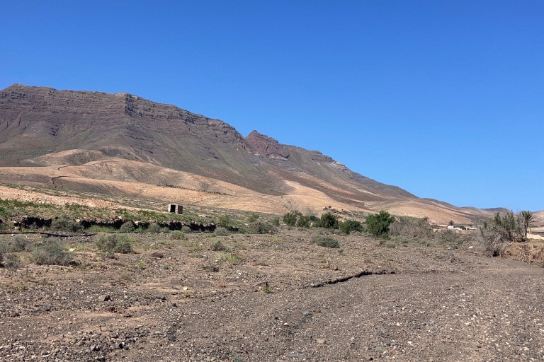 Fuerteventura: trekking con cabras y tour panorámico
