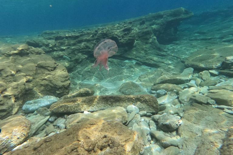 Agia Pelagia: Programa de buceo básico SSI para principiantes con 2 inmersiones