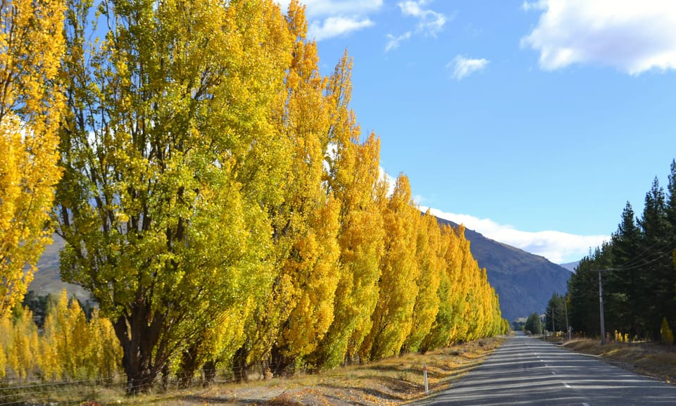 From Queenstown Gold Panning DayTrip with Morning Tea GetYourGuide
