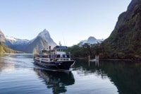 Milford Sound, croisière sauvage avec guide de la nature - Hizvo