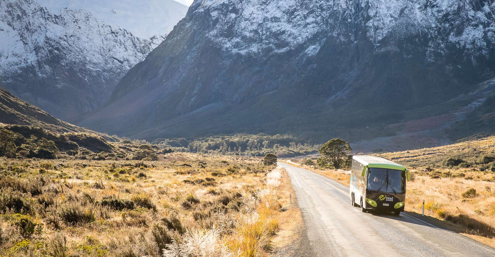 From Te Anau, Milford Sound Cruise and Coach Day Trip - Housity