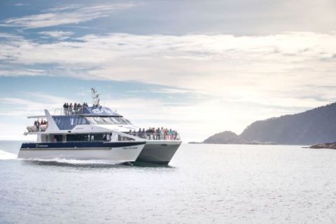 Manapouri: crucero Doubtful Sound por el parque de Fiordland