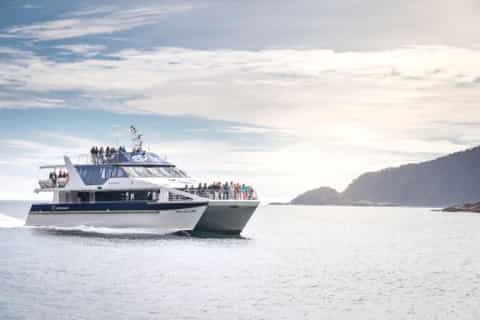Manapouri: Fiordland National Park Doubtful Sound Cruise