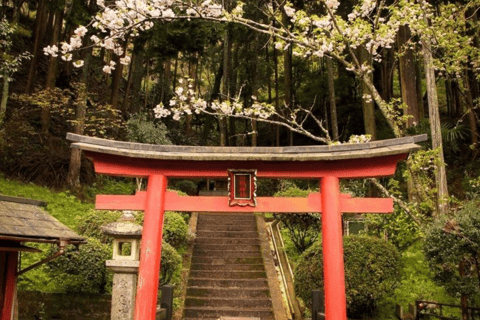 From Tokyo: Mount Fuji Full Day Customizable Private Tour