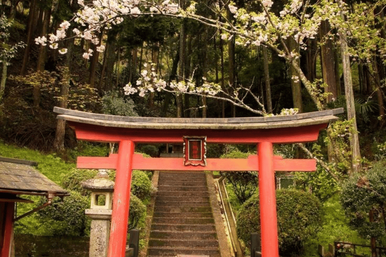 From Tokyo: Mount Fuji Full Day Customizable Private Tour