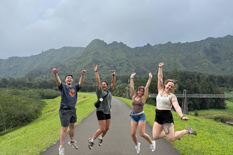 Lulumahu Falls Guided Hike with Waterfall Swim