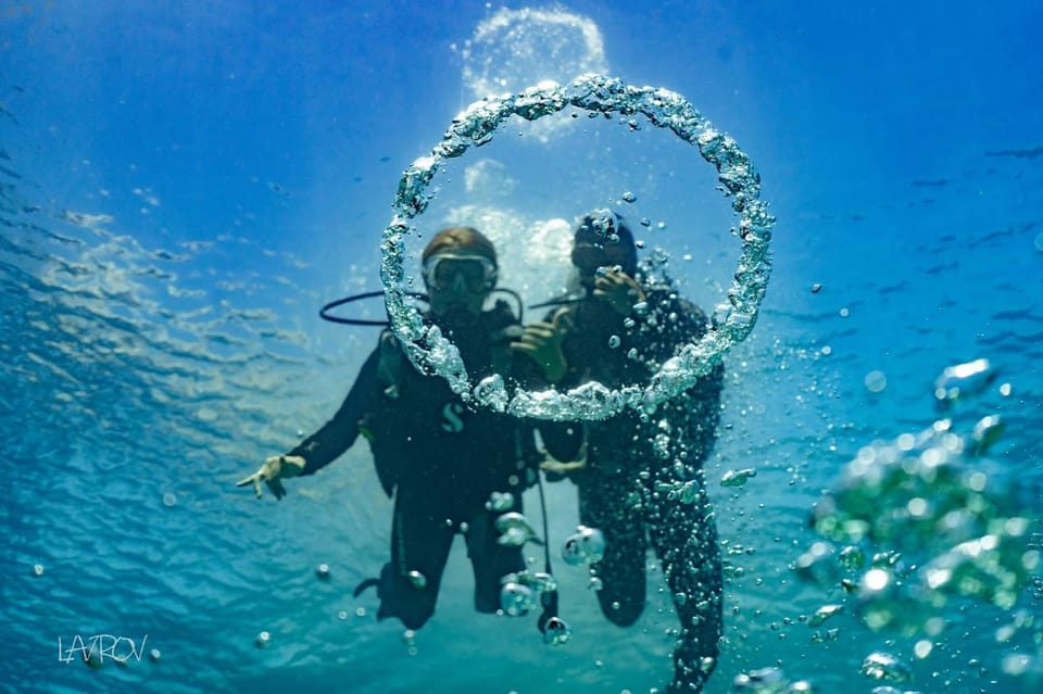 Doctor Fish  Red Sea Eilat Guide