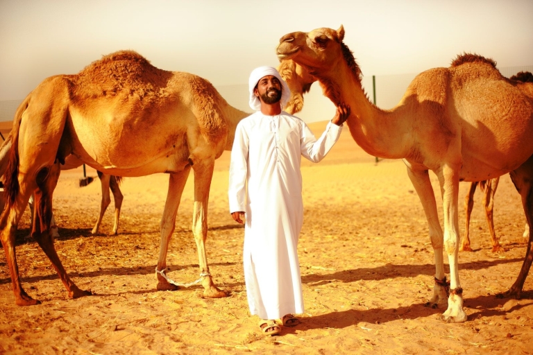 Abu Dhabi: Safari nocturno en el desiertoAbu Dhabi: Safari nocturno por el desierto