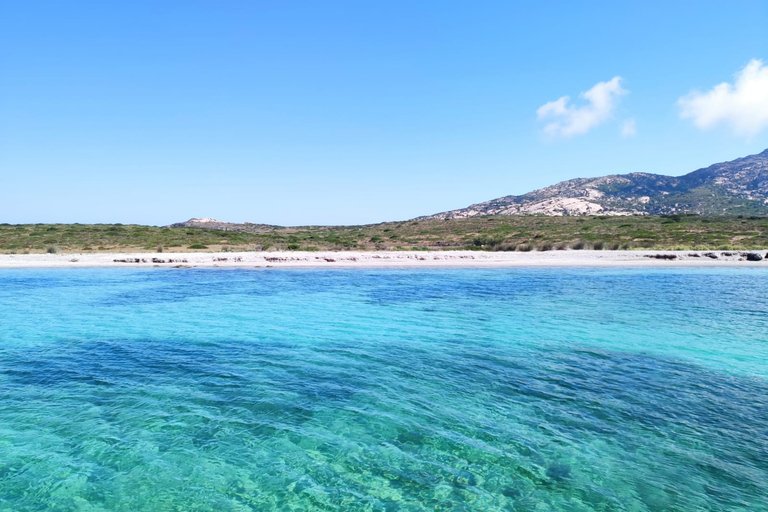 From Stintino: Asinara Sailboat Tour with Lunch Sailboat Tour and Lunch with 11 Seats