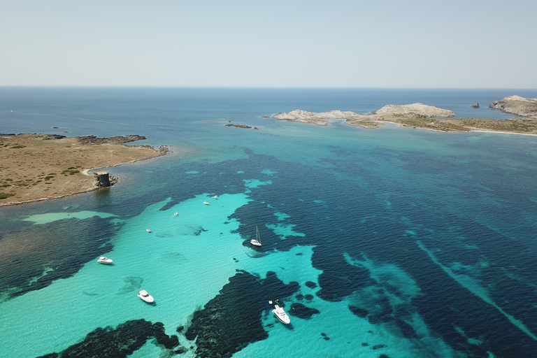 From Stintino: Asinara Sailboat Tour with Lunch Sailboat Tour and Lunch with 11 Seats