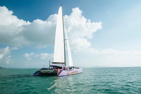 Camira Sunset Sail -Drinks & Snacks -Departing Airlie Beach