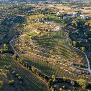 Veranda's: Algarve Vineyard Tour en wijnproeverij