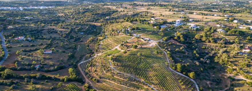 Porches : Visite des vignobles de l'Algarve et dégustation de vins