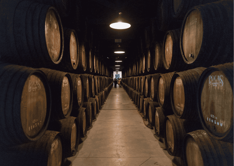 Tour & Harmonized Menu with Carpaccio, Salmon and Cheeses GetYourGuide