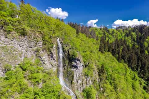 From Tbilisi: Borjomi Central Park and Vardzia