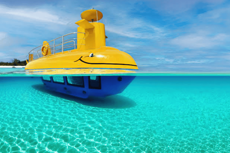 Zanzibar: tour in semisommergibile con vista subacqueaZanzibar: tour in semi-sottomarino con vista subacquea