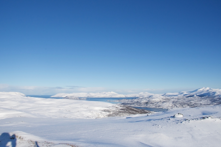 Au départ de Tromsø : Randonnée guidée en raquettes à neige avec visite du caféAu départ de Tromsø : Randonnée guidée en raquettes à neige avec visite d'un café