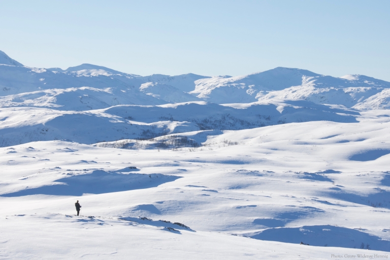 Von Tromsø aus: Geführte Schneeschuhwanderung mit Café-BesuchVon Tromsø aus: Geführte Schneeschuhwanderung mit Cafe-Besuch