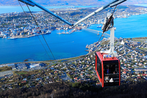 Tromsø: kaartje voor kabelbaan Arctic Panorama Fjellheisen