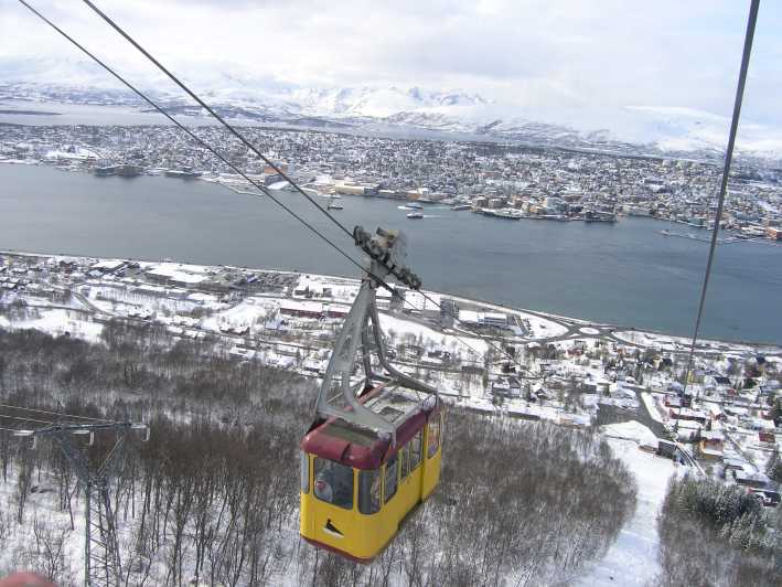 Tromsø: Arctic Panorama Fjellheisen Cable Car Ticket | GetYourGuide