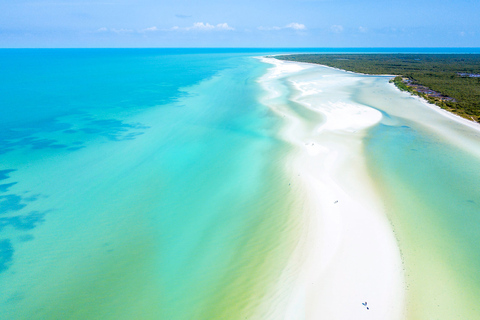 De Cancún ou Puerto Morelos: Passeio de barco em Holbox com almoçoO melhor de Holbox de Cancun