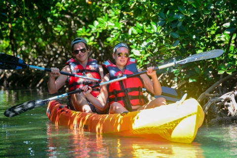 Mauricio: tour en kayak o bote pequeño por la isla AmberMauricio: recorrido en kayak o en bote pequeño por la isla de Amber
