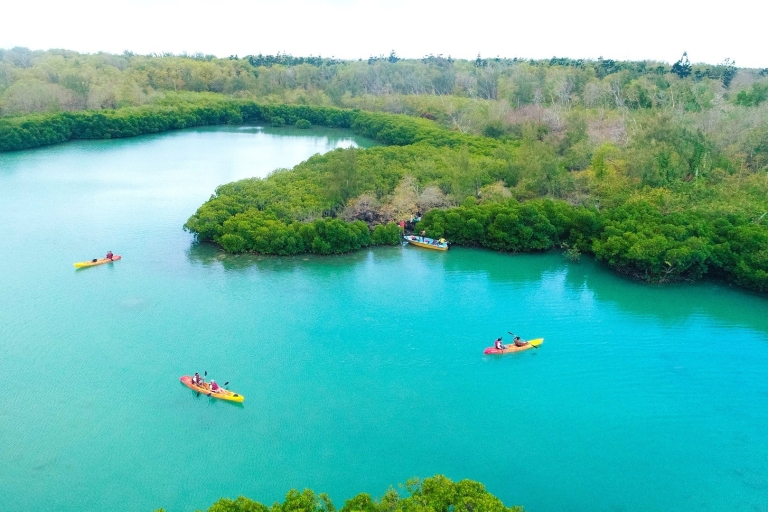 Maurice : excursion en kayak ou en petit bateau sur l'île d'AmberMaurice : excursion en kayak ou en petit bateau sur l'île d'Amber