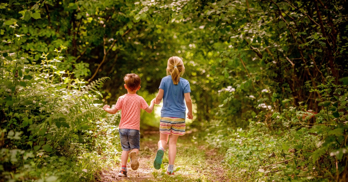 Wakehurst Billet d'entrée au jardin botanique GetYourGuide