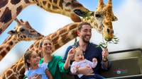 Puebla Africam Safari Park, Leben Sie ein unvergessliches Abenteuer! - Hizvo