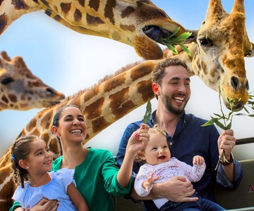 Parque Safari Puebla Africam, ¡Vive una Aventura Inolvidable!
