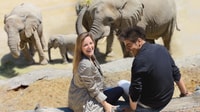 Puebla Africam Safari Park, Leben Sie ein unvergessliches Abenteuer! - Hizvo