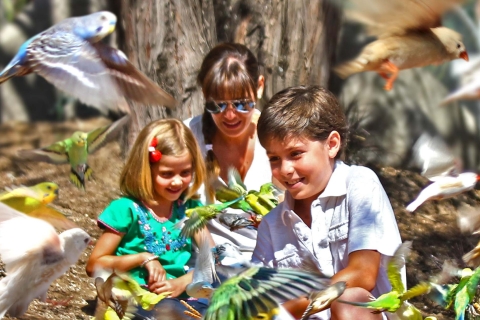 Parc Safari Africam de Puebla, vivez une aventure inoubliable !