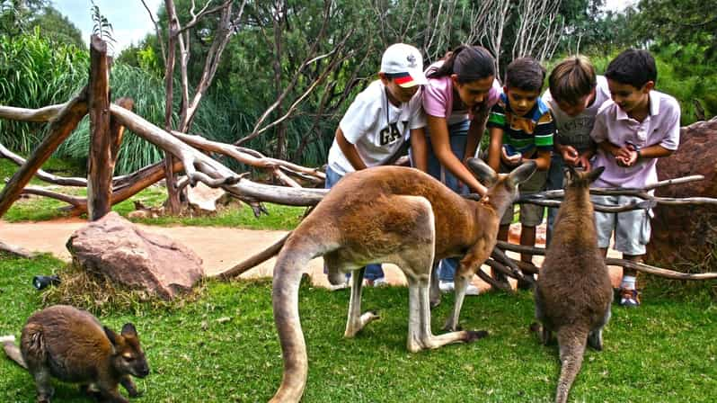 parque safari puebla