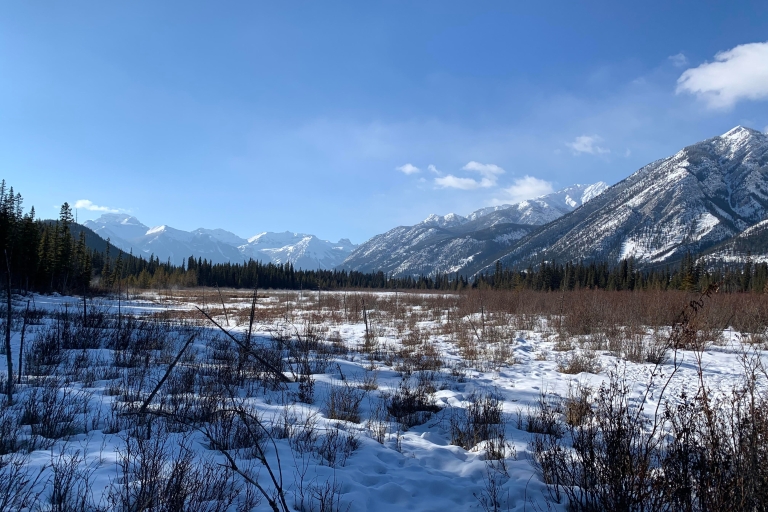 Banff: Guided Local History Walking Tour Banff History Tour