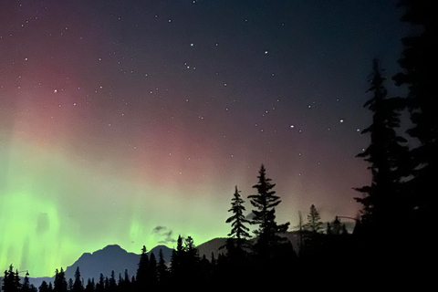 Banff: Excursão a pé à noite pelo pôr do sol e pelas estrelasBanff: excursão a pé ao pôr do sol e estrelas à noite