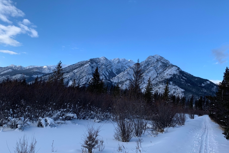 Banff: wandeltocht door de natuurBanff-natuurwandeling