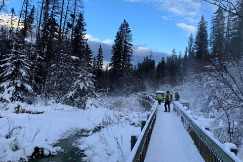 Banff: Rundgang durch die NaturBanff-Naturspaziergang