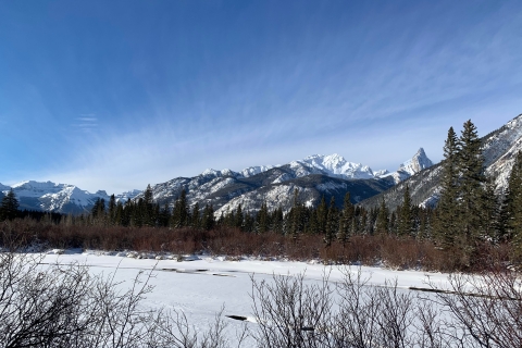 Banff : visite à pied dans la natureBalade dans la nature à Banff