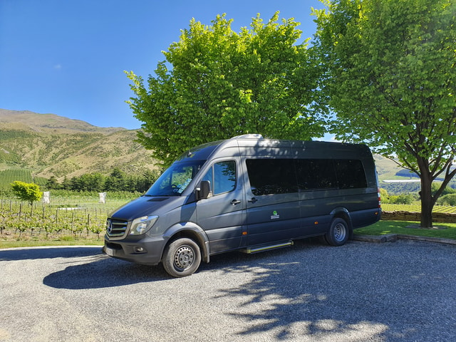 From Queenstown: Gold Panning Day-Trip with Morning Tea