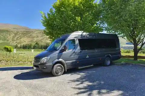 From Queenstown: Gold Panning Day-Trip with Morning Tea