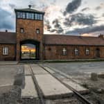 Cracovia: Tour guidato di Auschwitz-Birkenau con prelievo e pranzo