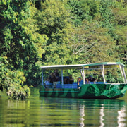 Tour 2: Crocodile Express Greater Daintree Wildlife Cruises
