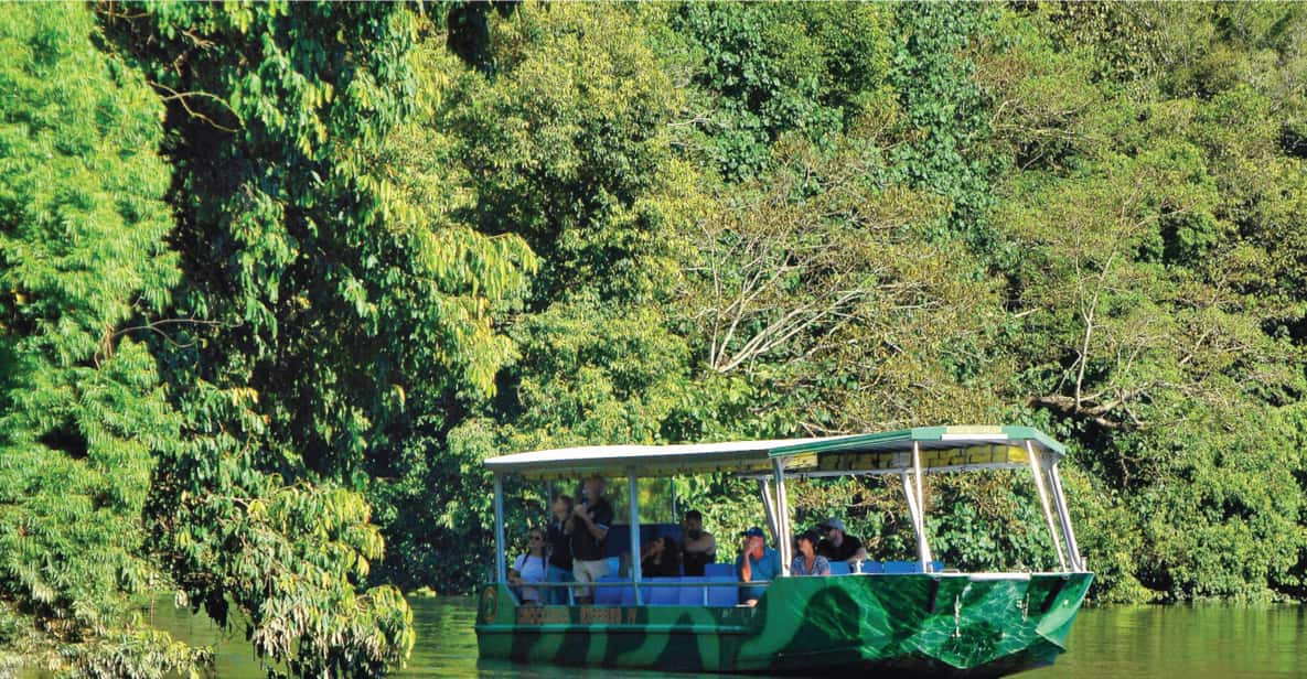 Daintree: Lower Daintree Crocodile & Wildlife Cruise | GetYourGuide